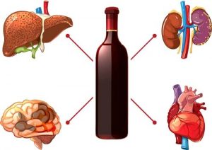 impact on different organs