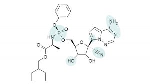 nucleotide