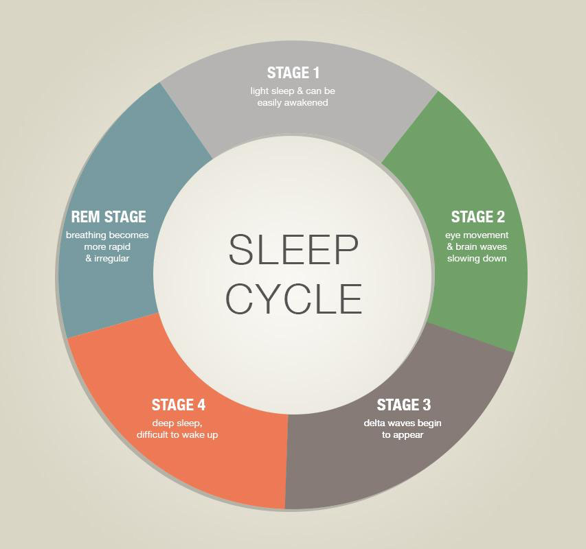 sleep-pattern-determine-your-stress-levels-pharmareviewer